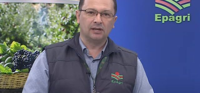 Epagri busca estender tempo de coparticipação na Ceres