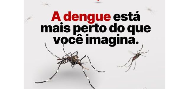 Casos de dengue aumentam 650% em SC. Previna-se!