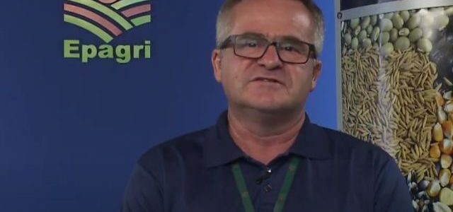 Atual gestão da Diretoria de Desenvolvimento Institucional termina em maio Atual gestão da Diretoria de Desenvolvimento Institucional termina em maio