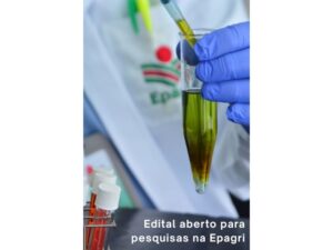 Edital da Fapesc vai financiar projetos de pesquisa na Epagri. Inscrições encerram em 25/8