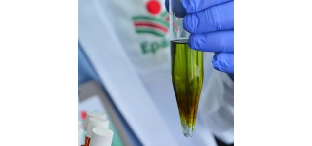 Edital da Fapesc vai financiar projetos de pesquisa na Epagri. Inscrições encerram em 25/8