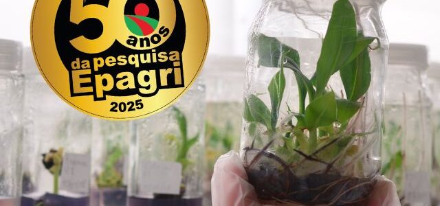 Todo mundo comemorando os 50 anos de pesquisa