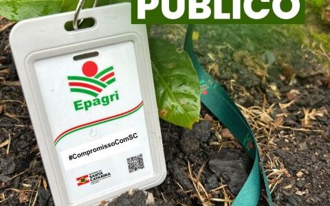 Dia do Servidor Público