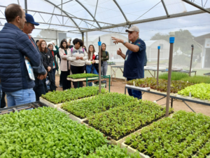 Fantini acompanhou processo de transição do Projeto Hortaliças na Epagri em Itajaí