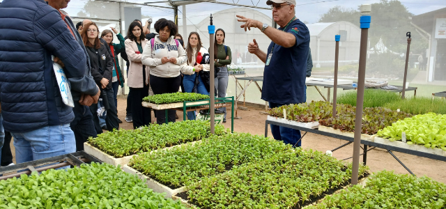 Fantini acompanhou processo de transição do Projeto Hortaliças na Epagri em Itajaí