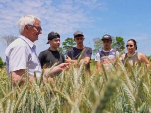 Conheça os avanços da gestão da Epagri nos últimos três anos
