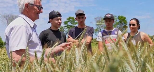 Conheça os avanços da gestão da Epagri nos últimos três anos Conheça os avanços da gestão da Epagri nos últimos três anos